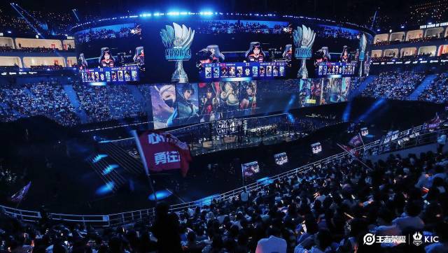 以专业主义 以专业主义